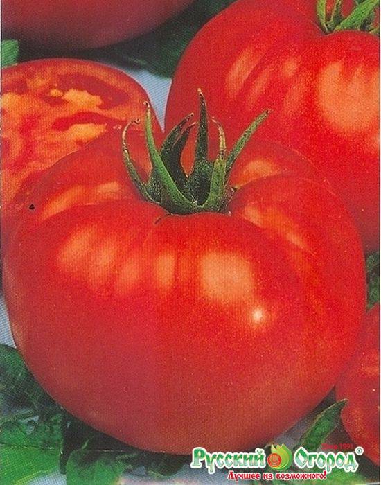 Характеристика томатов японских сортов