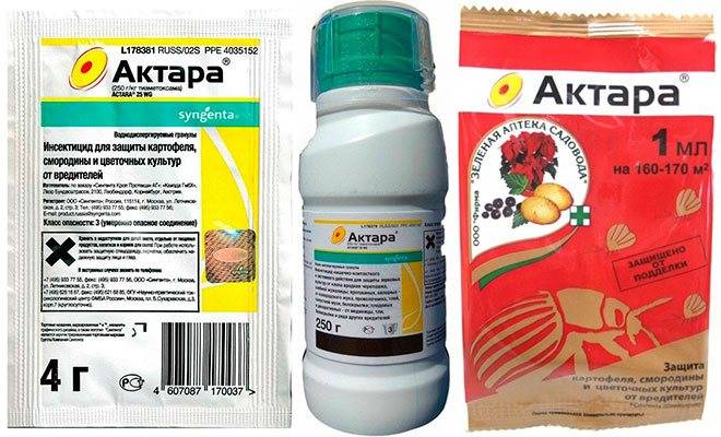 Инсектицид актара: инструкция по применению препарата для обработки плодовых и комнатных растений