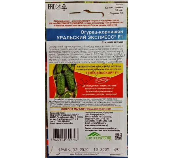 Ультраскороспелый и высокоурожайный гибрид огурца «петербургский экспресс f1»