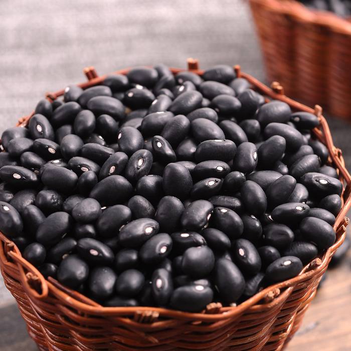 Черная фасоль – свойства продукта, а также полезные свойства и вред на ydoo.info