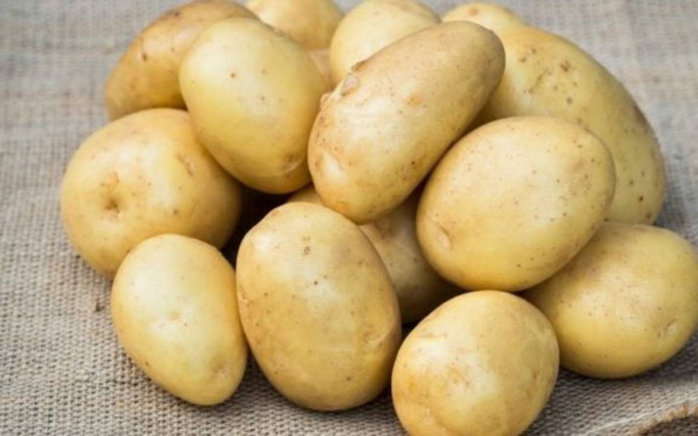 Лорх – картофель с вековой историей