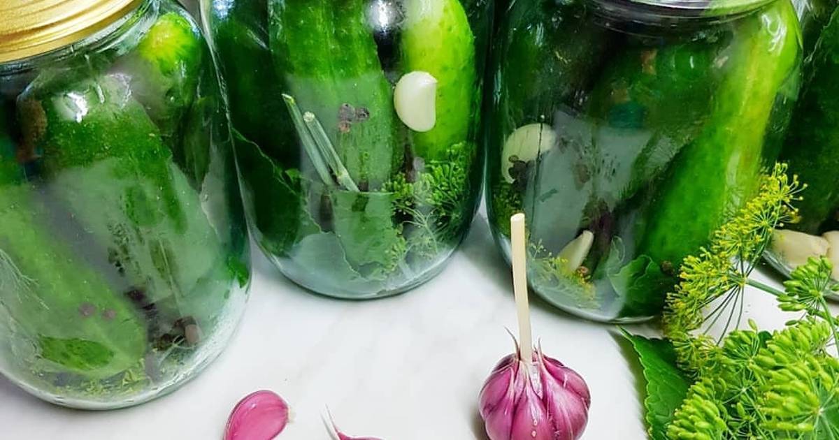 Салат из огурцов на зиму: 6 вкусных рецептов заготовки огуречного салата в банках