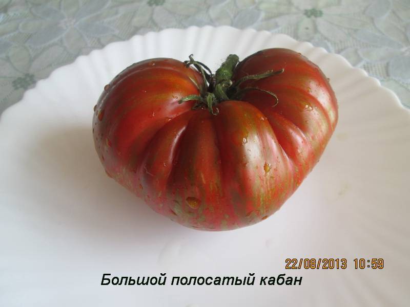 Сорт помидор полосатый