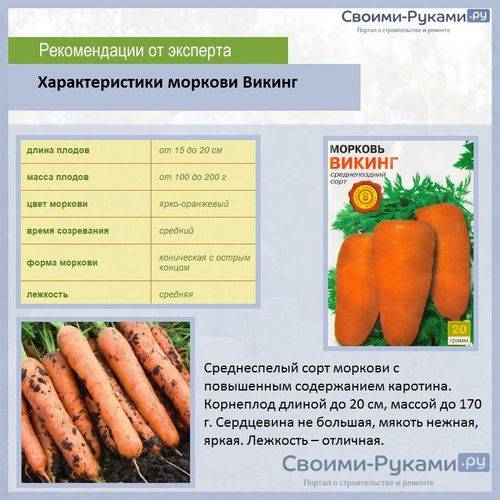Уборка моркови на хранение на зиму: когда и как правильно убирать с грядки, как подготовить овощ, где и в чем хранить?