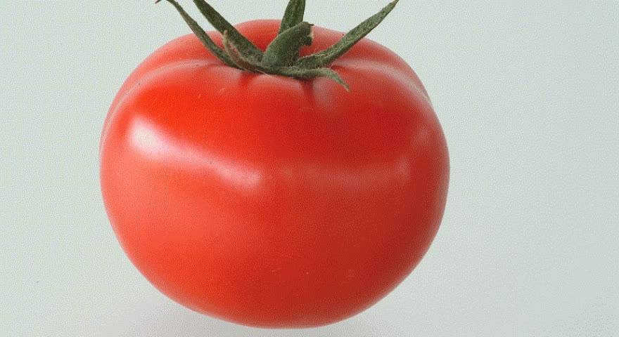 Описание сорта томат магнус, характеристики и выращивание