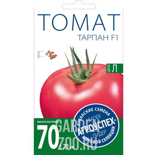 ᐉ помидор «тарпан» f1: описание сорта, фото и основные характеристики томата - orensad198.ru