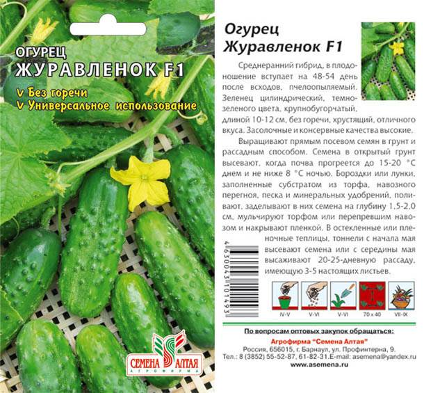 Сорт огурцов беттина f1: описание, отзывы, характеристика сорта, фото, урожайность, особенности выращивания, достоинства и недостатки