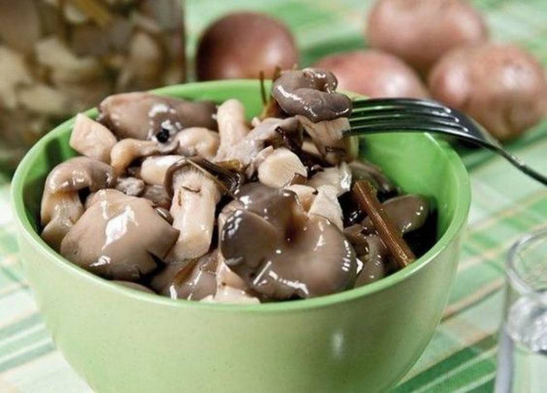 Как правильно заморозить свежие грибы вешенки на зиму: рецепты заморозки вешенок в морозилке