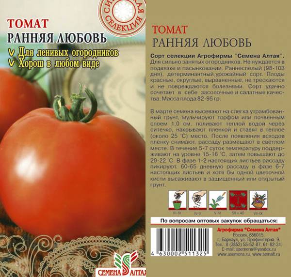 Ранние сорта томатов для открытого грунта