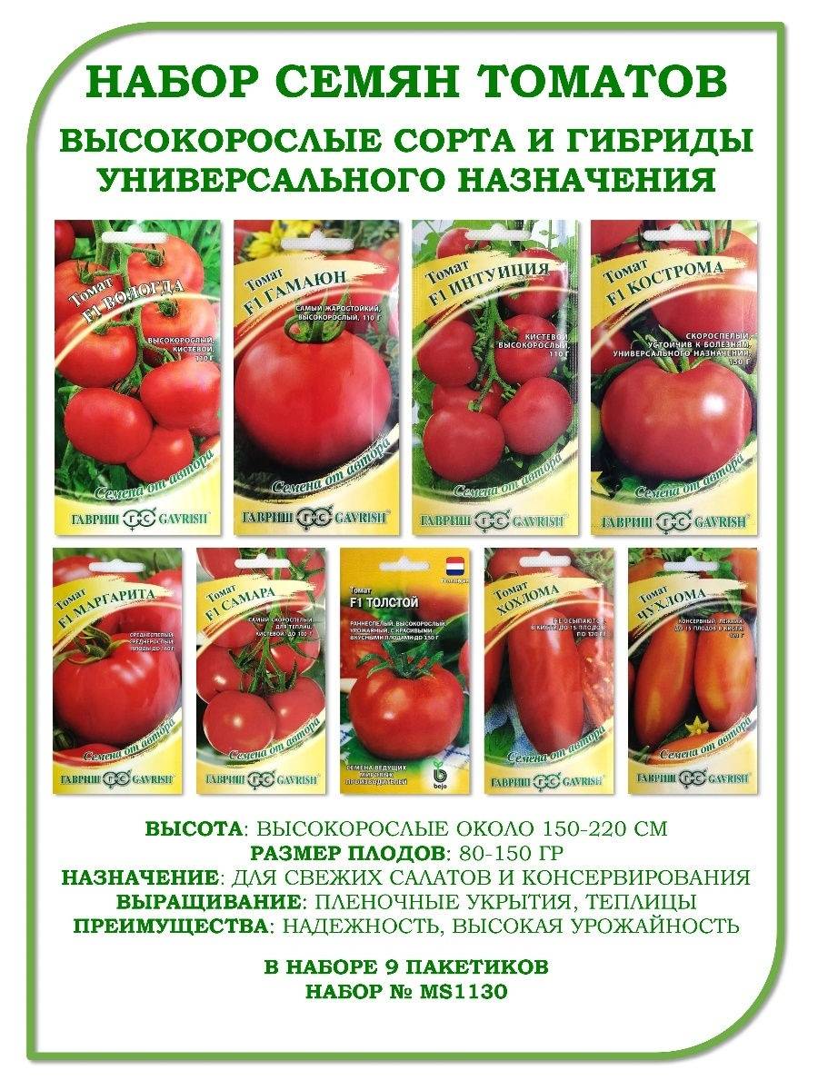 ✅ томатное дерево: выращивание в открытом грунте и в теплицах - сад62.рф