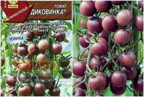 Серия томатов «гибрид тарасенко»: отзывы, фото, урожайность