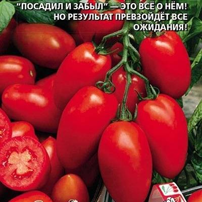 Семена:томат ни забот ни хлопот. томаты, семена овощей. , , . продажа и доставка по краснодару и россии.