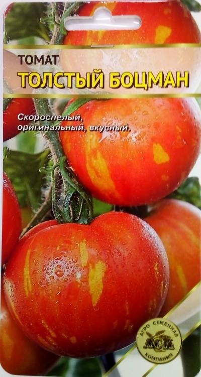 Томат толстый боцман: характеристика и описание сорта, видео и фото растения, отзывы об урожайности помидоров
