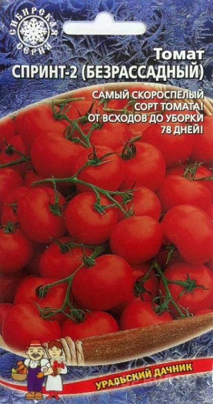 Как вырастить помидоры безрассадным способом: плюсы и минусы технологии