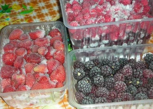 Как заморозить ягоды на зиму: правильная технология заморозки :: syl.ru