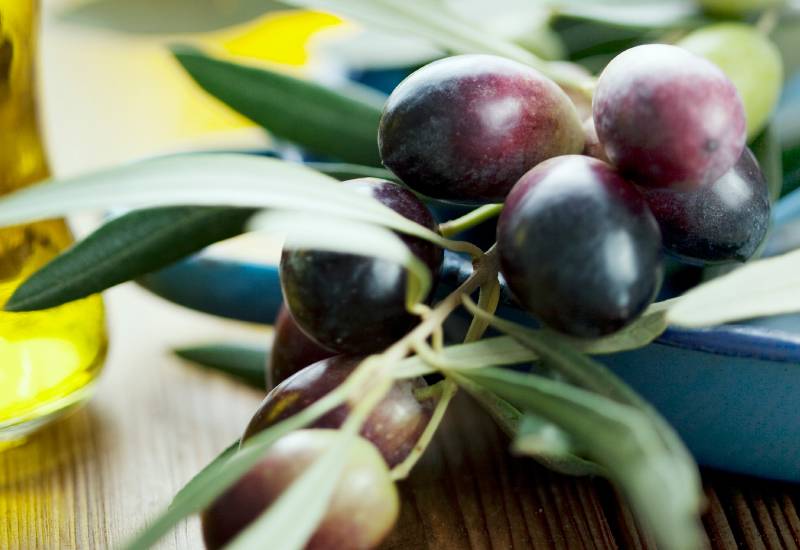 Маслины и оливки, в чем разница между плодами и что полезнее