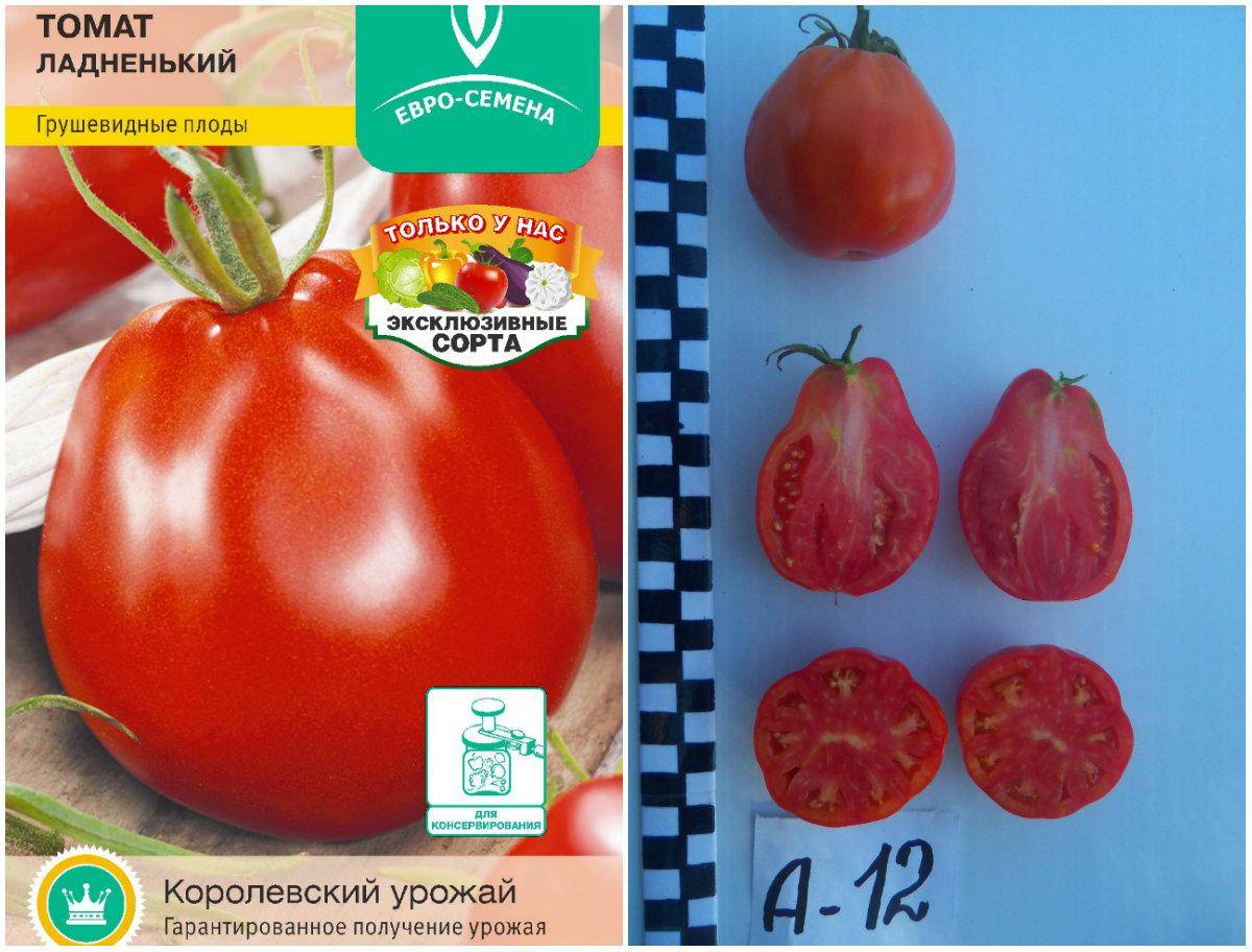 Самые сладкие сорта томатов для теплиц и открытого грунта