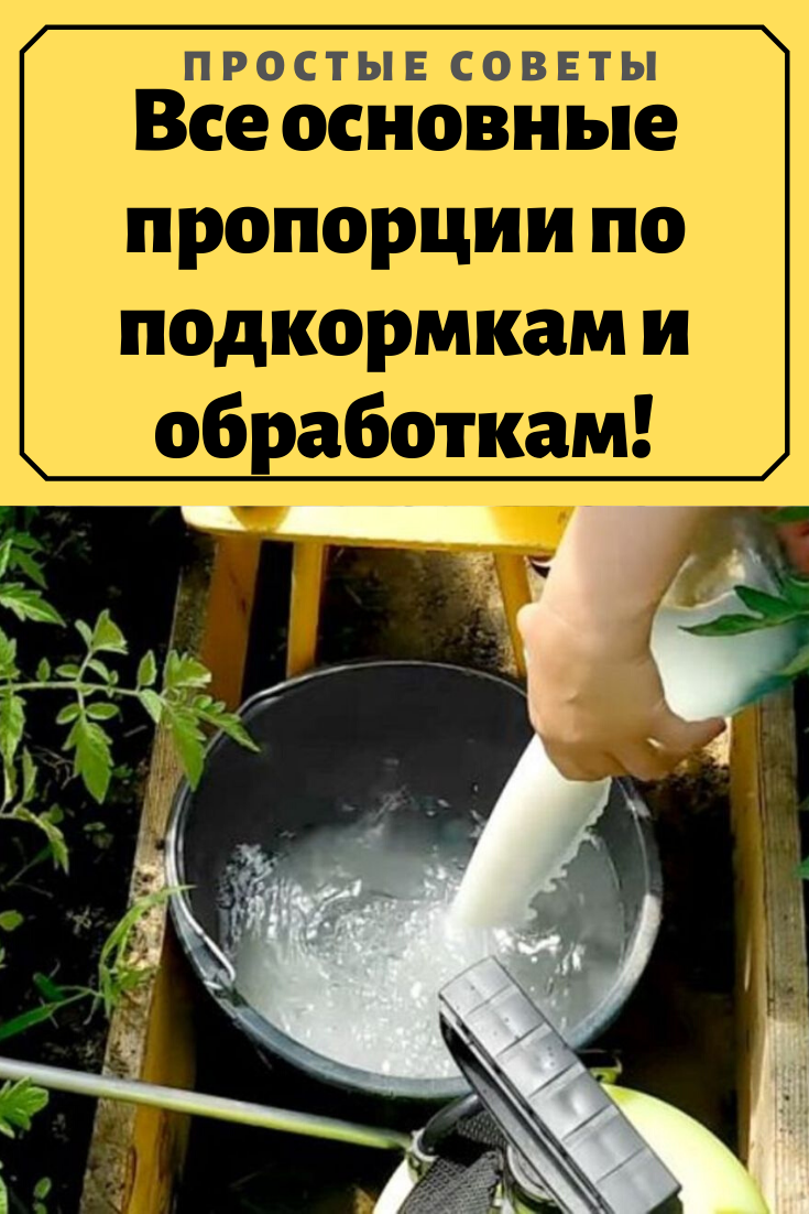 Подкормка огурцов сывороткой. Сыворотка для подкормки растений в огороде. Полив огурцов сывороткой. Подкормка огурцов молоком и йодом.