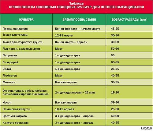 Как выращивать огурцы в ленинградской области: особенности выращивания, сорта огурцов, сроки посадки