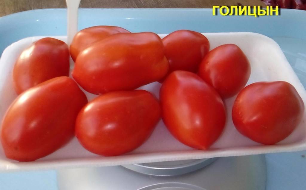 «голицын» — грунтовой томат для консервирования — ботаничка