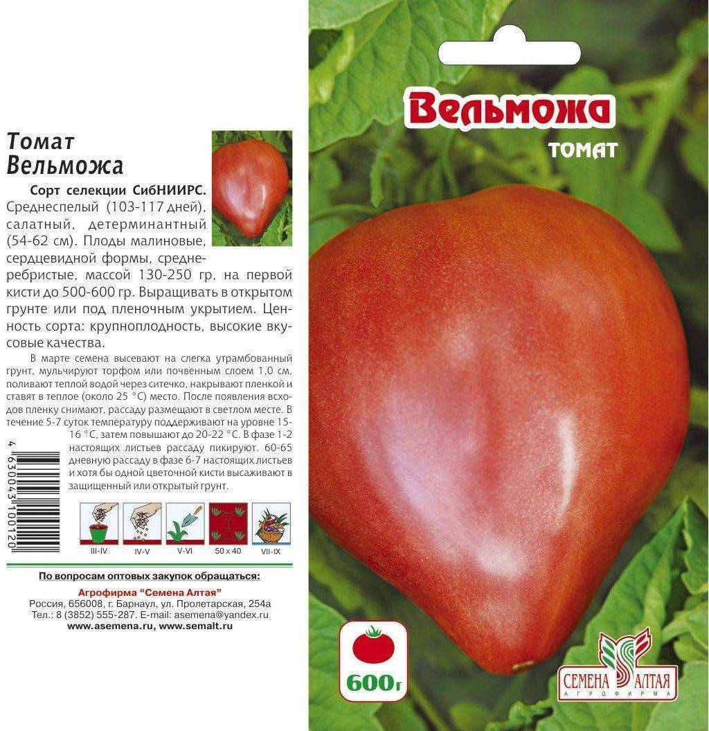 Описание сорта томата рябчик, его характеристика и выращивание ⋆ дачные дела
