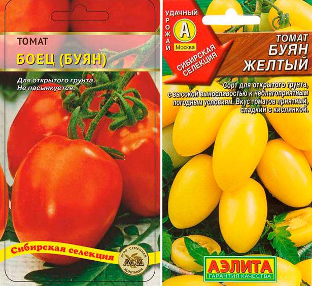 ✅ боец (буян): описание сорта томата, характеристики помидоров, посев