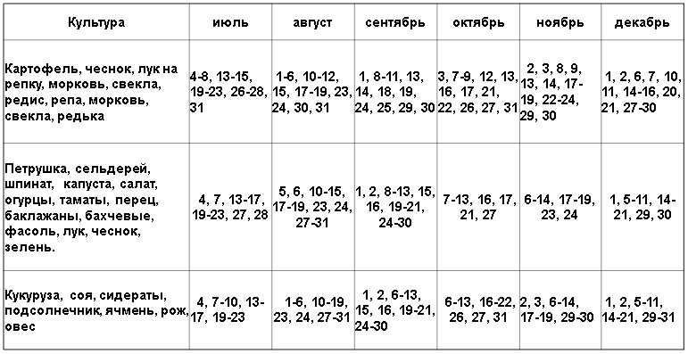 Когда садить зимний чеснок в сибири по лунному календарю в 2021 году: таблица благоприятных дней для посадки озимого чеснока