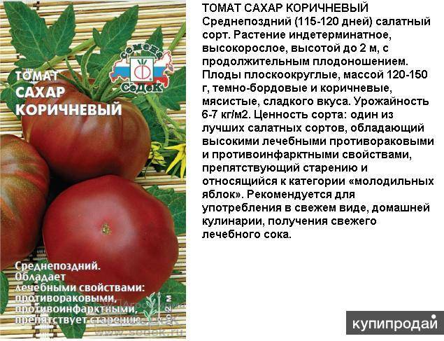 Томат грейпфрут: описание сорта помидоров, фото кустов и плодов, отзывы дачников, характеристика розового подвида