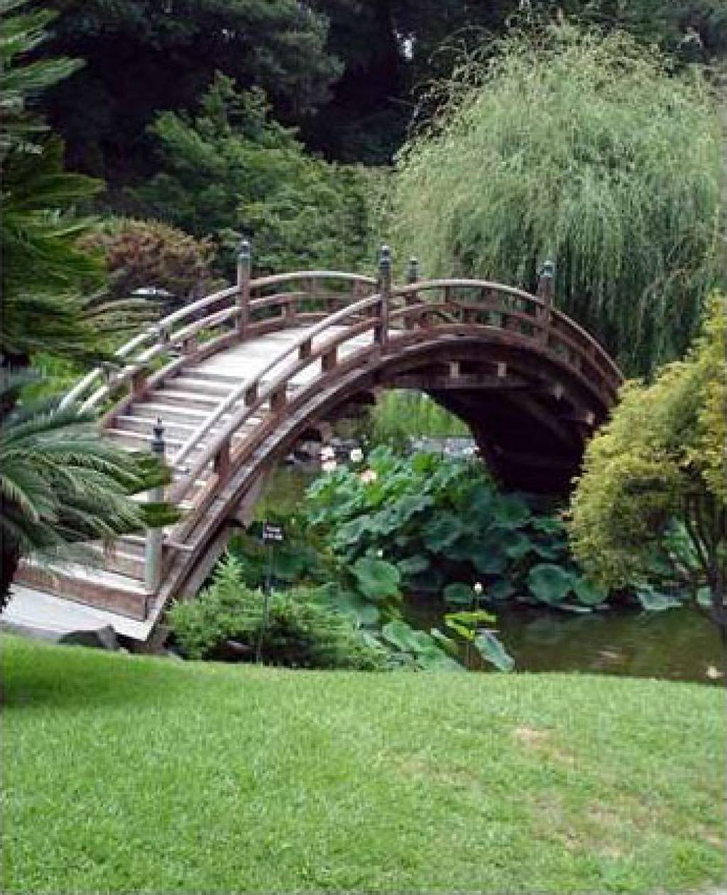 Чертеж декоративного садового мостика: 85 фото декора для сада и дачи