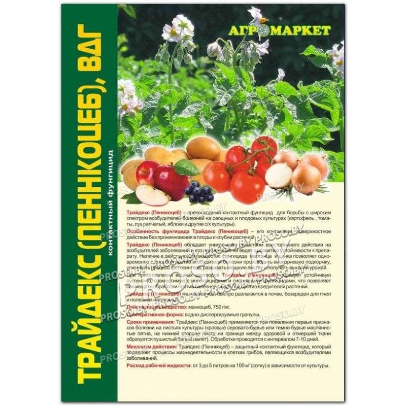 Пенкоцепт для обработки помидор: инструкция по применению, цена, отзывы о томатах после обработки