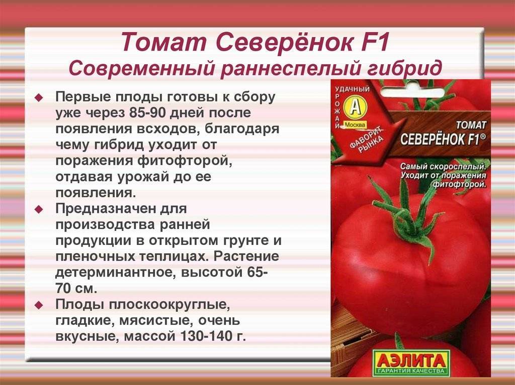 Описание томата Урал f1 и правила выращивания гибридного сорта