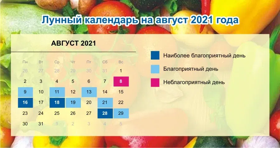Посадочный лунный календарь огородника на август 2021 года