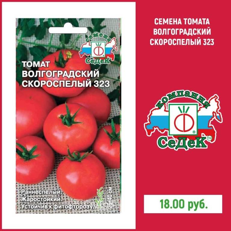 Самые лучшие сорта томатов, отзывы, фото