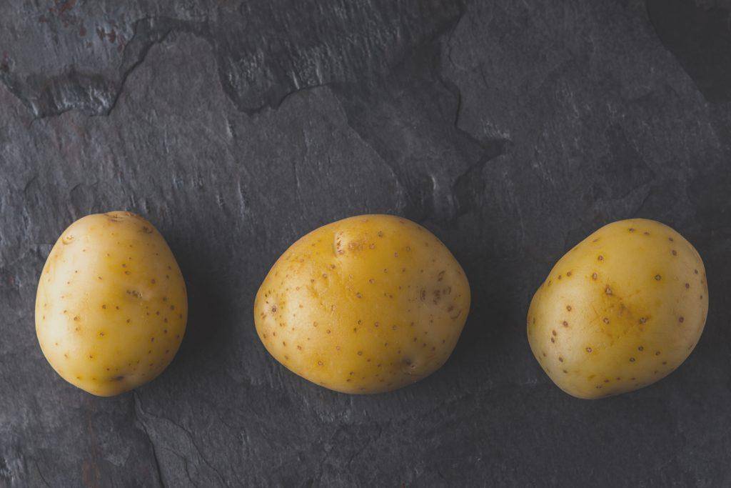 Картофель «лорх»: описание сорта, фото и отзывы