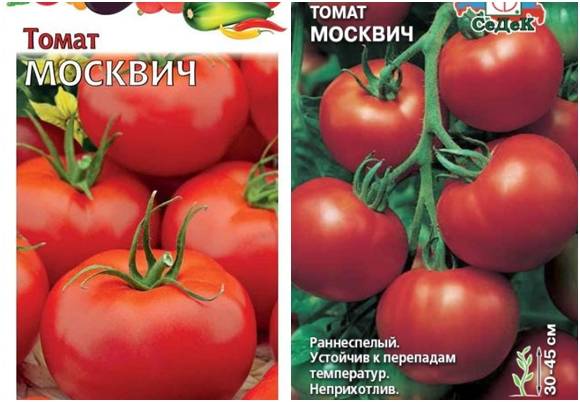 Обзор сорта томата «москвичка»: плюсы и минусы, а так же как получить хороший урожай