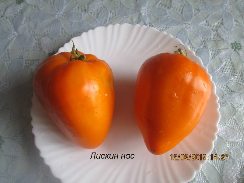 Помидор сорт оранжевое сердце