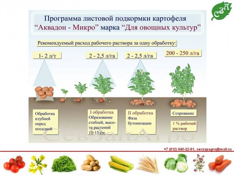 Виды удобрений для подкормки картофеля для цветения, лучшие народные средства и препараты