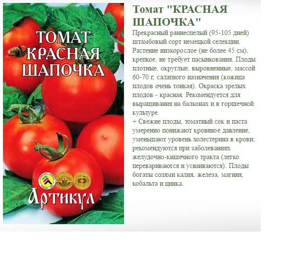 Идеальный на вид и на вкус томат «ранняя любовь»: выращиваем правильно и ставим рекорды урожайности