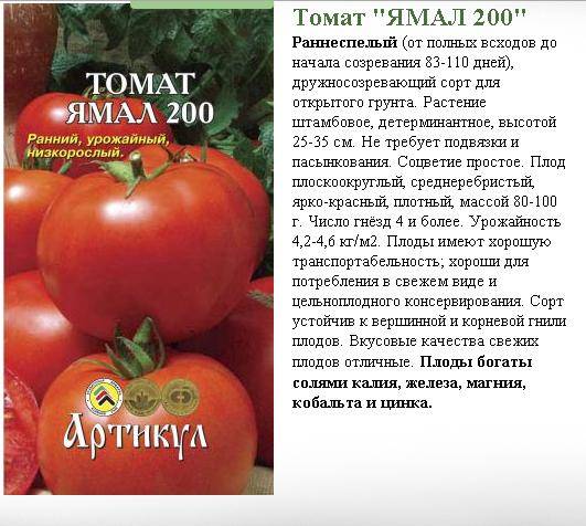 Описание супердетерминантного томата Альфа и рекомендации по выращиванию сорта