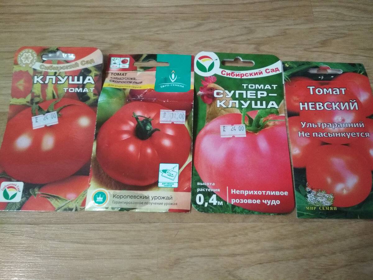 Клуша томат: характеристика и описание сорта помидоров, посадка и уход, урожайность