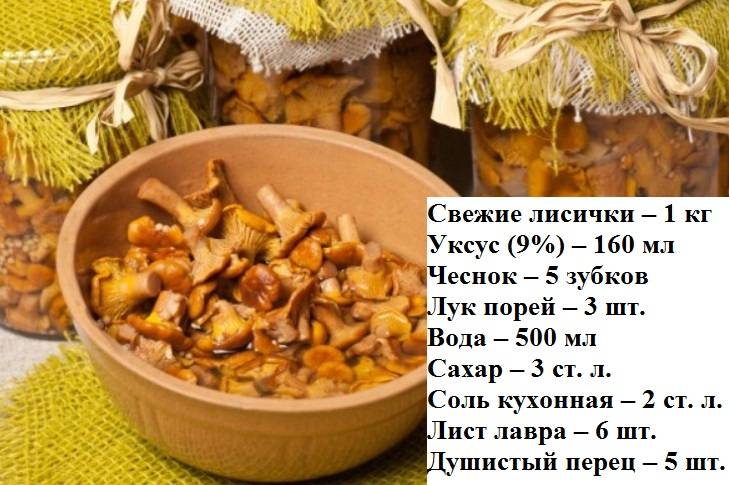 Как солить грибы белянки на зиму в банках - простой рецепт холодным и горячим способом