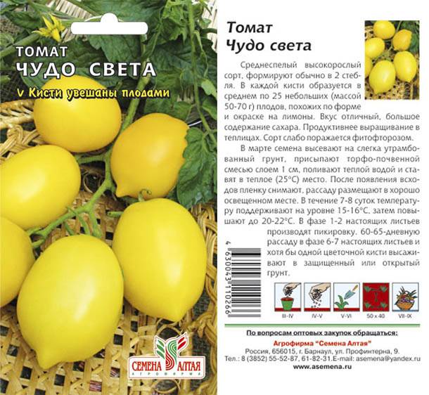 Описание сорта томата чудо рынка, особенности выращивания и ухода