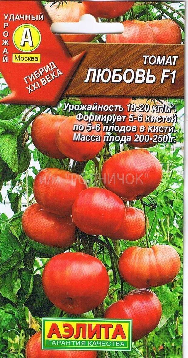 Как вырастить богатый урожай томата любаша