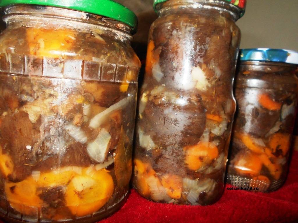 Как в домашних условиях мариновать грибы коровники на зиму, рецепты приготовления из свинушек