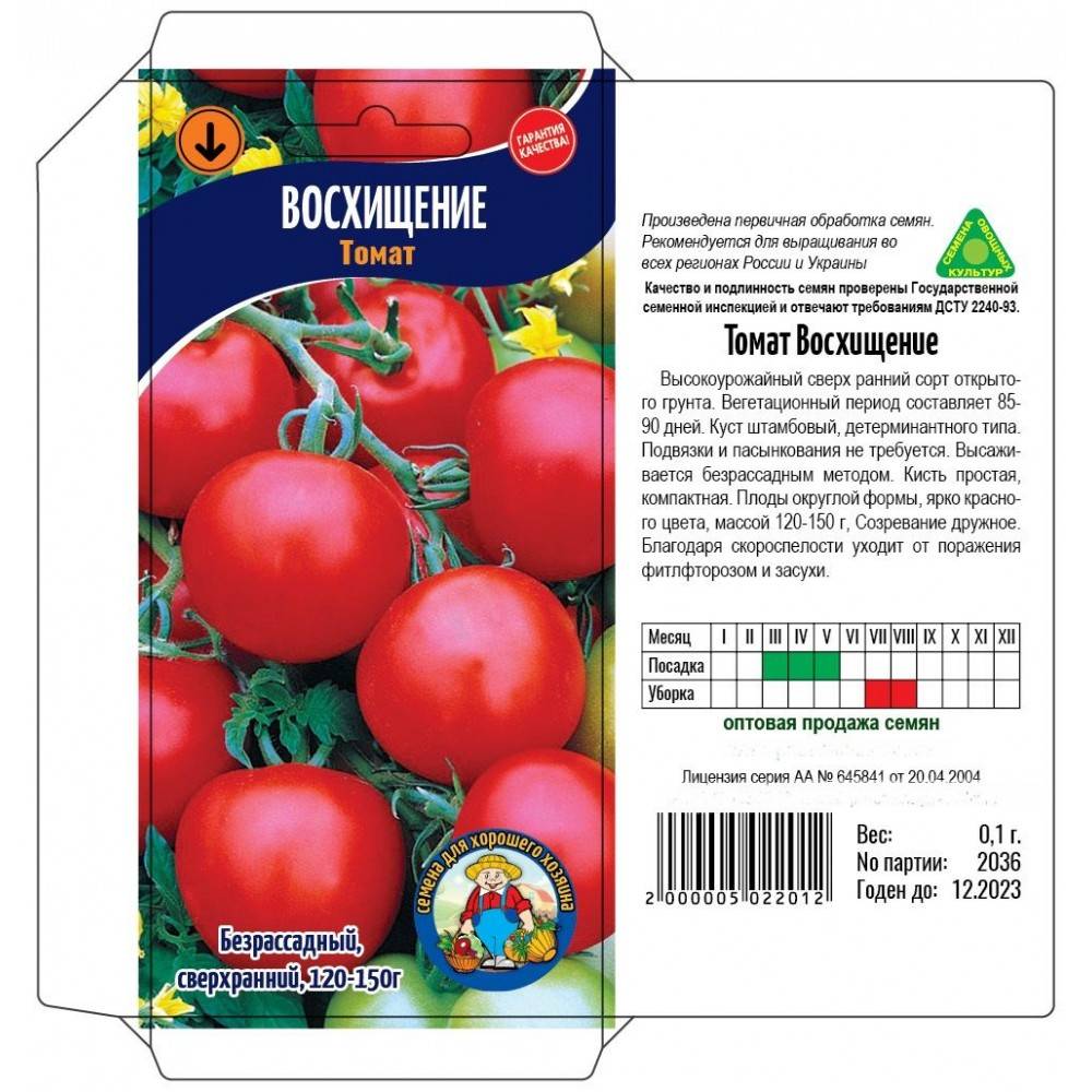 Безрассадный томат: описание помидоров, способы выращивания в открытом грунте