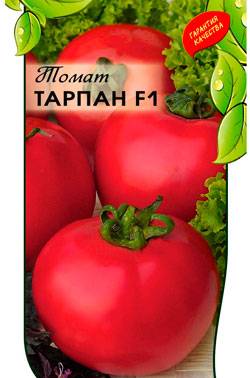 Томат тарпан: характеристика и описание сорта, выращивание с фото