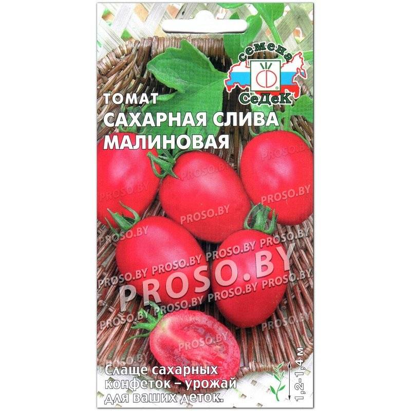 Томат сахарная слива малиновая: отзывы об урожайности, характеристика и описание сорта, фото помидоров