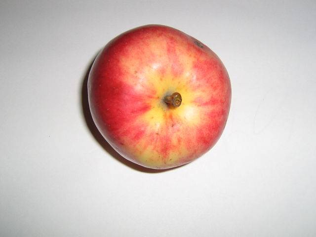 Сорт яблок афродита фото и описание