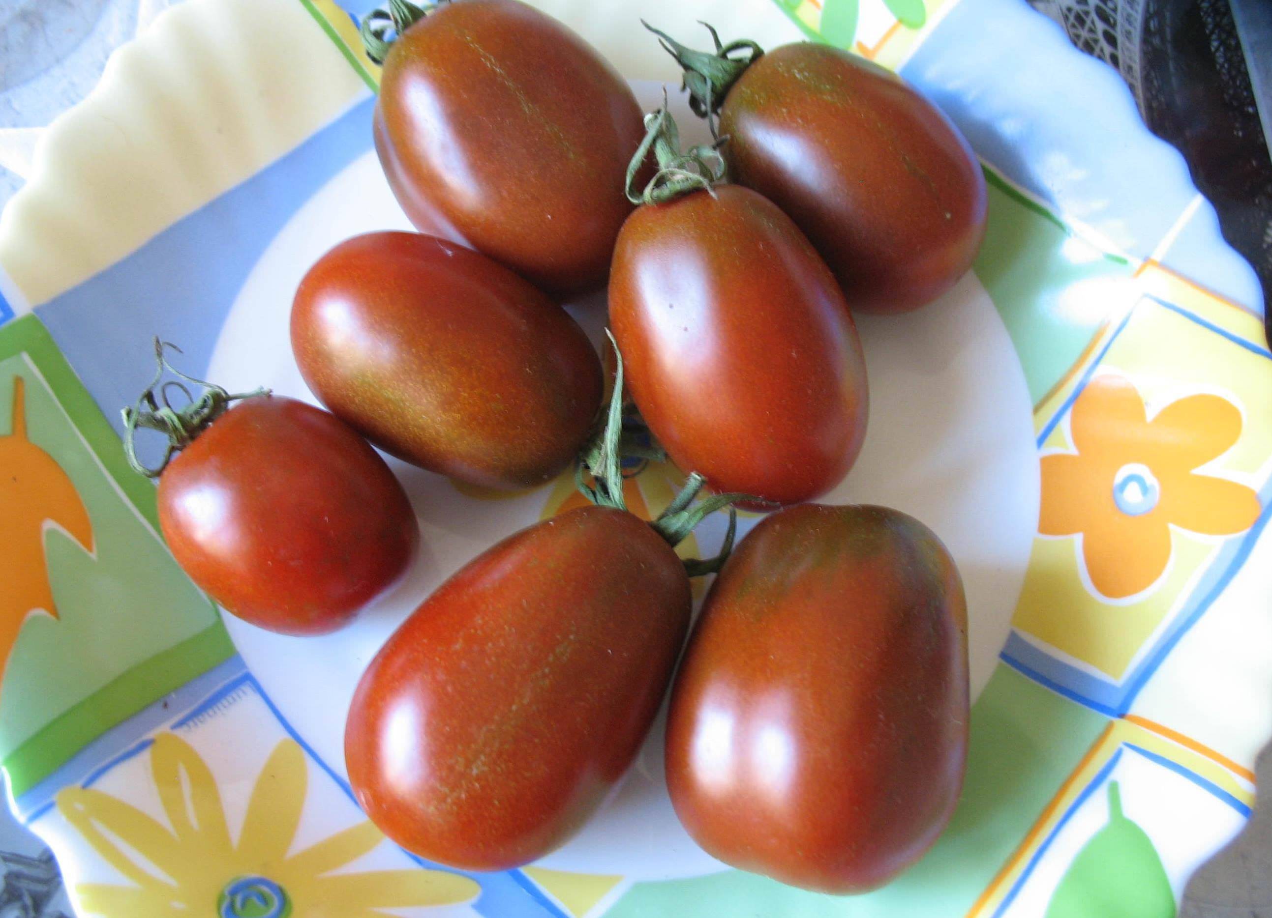 Коктейльные томаты: что это за чудо такое? - сибирский сад