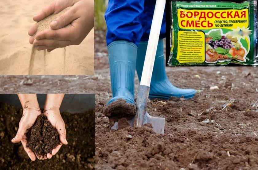 Почва для гортензии: какую она любит, как правильно подготовить грунт, в какую землю сажать, состав торфа, что нужно добавлять при посадке